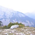 Karwendel_03_0008_arc.JPG