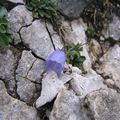 Karwendel_03_0015_arc.JPG